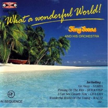 Picture of What A Wonderful World (CD)
